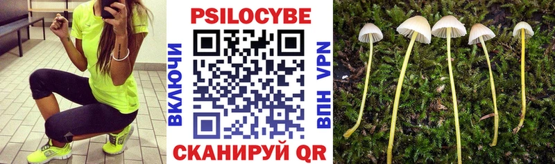 Галлюциногенные грибы GOLDEN TEACHER  цена   Зеленодольск 